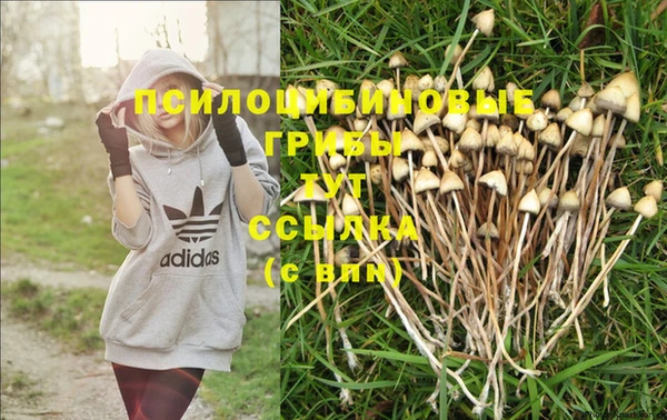 метадон Алзамай