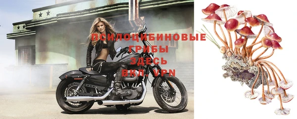 прущие крисы Приозерск