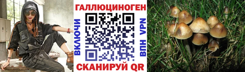 сколько стоит  Калач-на-Дону  Галлюциногенные грибы Psilocybe 